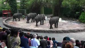 Jill meets a ton of wildlife.