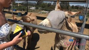 Nicole Nichols Temecula Part 3